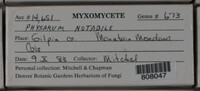 Image Associated With the Occurence